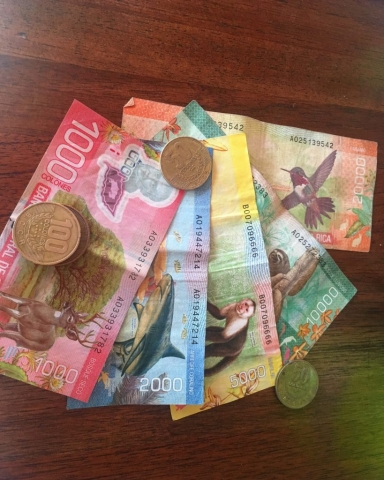 Even the money is colorful and full of animals!